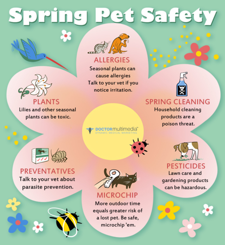 Spring Pet Care Safety
