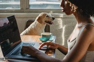 How to Juggle Starting a New Business and Caring for a New Pet